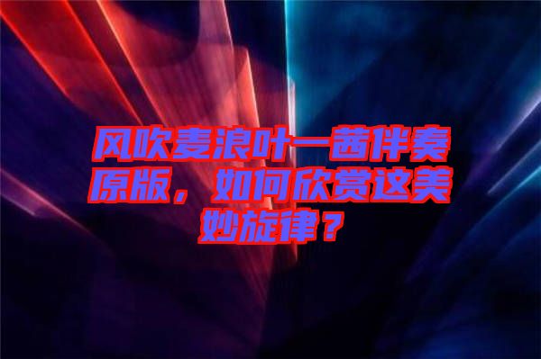 風(fēng)吹麥浪葉一茜伴奏原版，如何欣賞這美妙旋律？