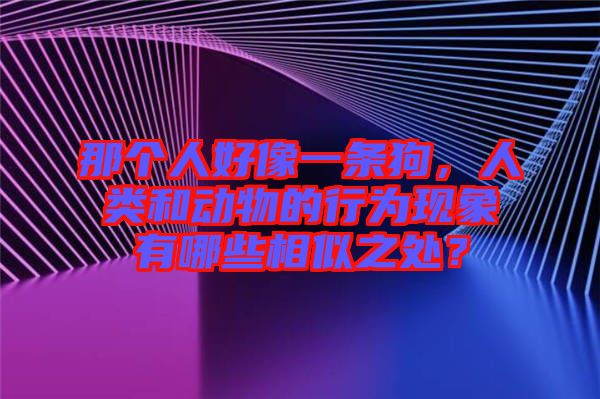 那個人好像一條狗，人類和動物的行為現(xiàn)象有哪些相似之處？