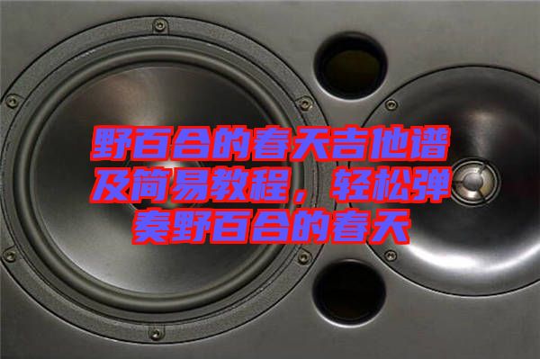 野百合的春天吉他譜及簡(jiǎn)易教程，輕松彈奏野百合的春天
