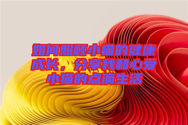 如何照顧小貓的健康成長，分享我和心愛小貓的點滴生活