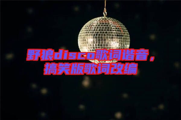 野狼disco歌詞諧音，搞笑版歌詞改編