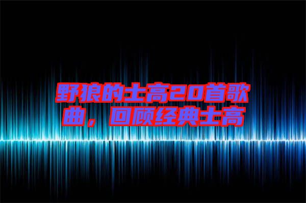野狼的士高20首歌曲，回顧經(jīng)典士高