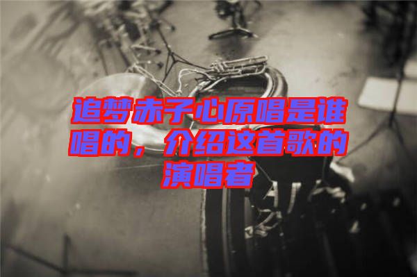 追夢赤子心原唱是誰唱的，介紹這首歌的演唱者